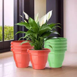 Kuber Industries Set Of 8 Red & Green Planter With Pot-32