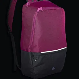 Kipsta By Decathlon Sports backpack with shoe compartment 17L-45