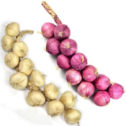 Artificial Vegetables - Artificial Onin With Garlic for Kitchen Wall Hanging Decor Parties Restaurants Table Centerpiece Décor Pack of 2 pc Artificial Fruit-image-102