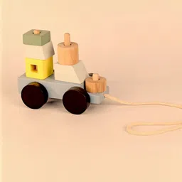 Playbox Wood Skill Development Toy Learning and Development Toys-picture-43