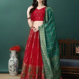 APNISHA Ready to Wear Lehenga & Unstitched Blouse With Dupatta-picture-30