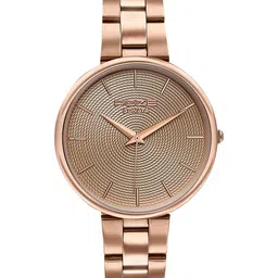 Sonata Women Brass Dial & Stainless Steel Bracelet Style Straps Analogue Watch SP80113WM02-40