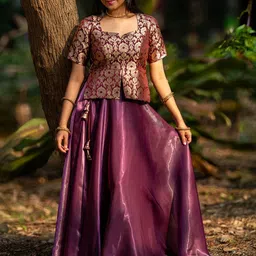 I LOVE SAREES Banarasi Organza Zari Ready To Wear Lehenga & Blouse-picture-49