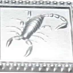 pure silver scorpion figurine for vastu Decorative Showpiece - 0.1 cm-18