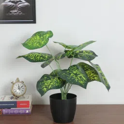 arick decor 1.8Ft Artificial Dieffenbachia Plants With Black Pot 12 Green Leaves-picture-26