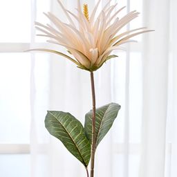 Home Centre Festoon Off White Poinciana Artificial Flower-image-67