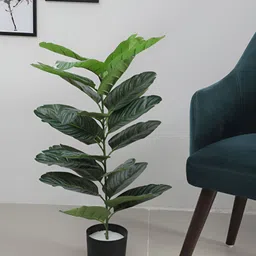 Home Bloom Green & Black Artificial Tropical Dieffenbachia Camille Plant With Pot-28