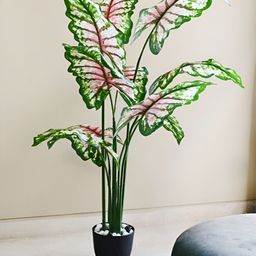 Blooming Floret Green 1 Pieces Codiacum Artificial Plant With Pot-39