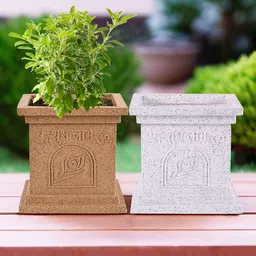 Kuber Industries 2 Pcs White & Beige Plastic Tulsi Planter-43