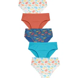 Charm n Cherish Boys Pack Of 5 All Over Dino Printed Pure Cotton Basic Briefs BWBRI58-image-81