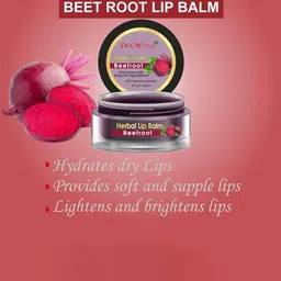 DRONTIKA Set Of 2 Herbal Beetroot Lip Balm For Dry & Chapped Lips - 10 g Each image 4