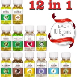 Fragrance Cooler perfume Scent, 120 ML (12 in 1 ), Multi-Purpose Water Soluble Aroma Oil-11