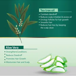 APLOMB Embellish Extra Conditioning Shampoo With Aloe Vera - 250 ml image 3