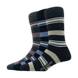 Peter England Men Pack Of 3 Striped Calf-Length Socks-image-94