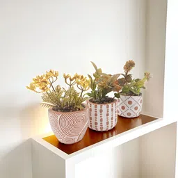 The Better Home Green 3 Pieces Core With Pot-39