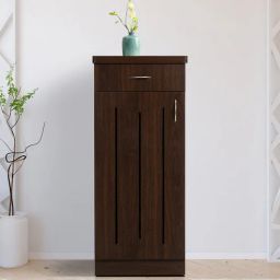solace craft Tapal Shoe Cabinet in Brown Teak Matte Finish-picture-48