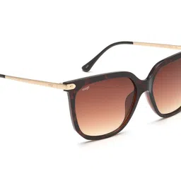 Image Women Butterfly Sunglasses with UV Protected Lens-image-49