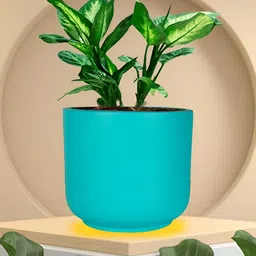 LASAKI Orin Blue Small Aqua Ceramic Planters-image-63