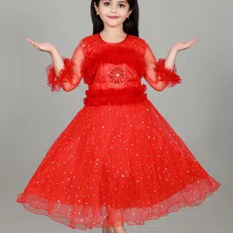 Zenat Flared Sleeve Layered Net Fit & Flare Dress-image-97