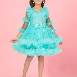 BAESD Embellished Net Fit & Flare Dress-19