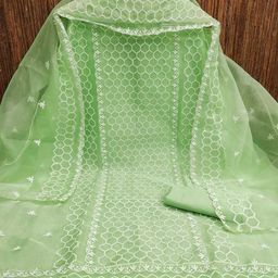 Panzora Geometric Embroidered Organza Unstitched Dress Material-image-53