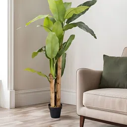 Royaloak Green 1 Pieces Artificial Plant-picture-27