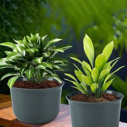 Kuber Industries 2Pcs Grey Textured Planters With Plate image 1