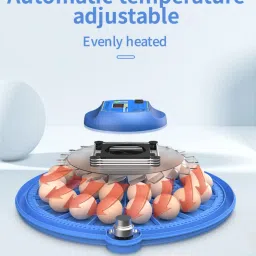 8 eggs small size automatic mini incubator for hatching chicken eggs. Egg Incubator-21