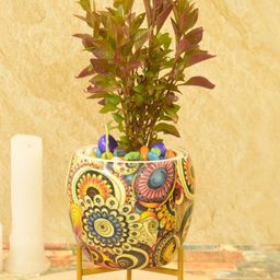 SONE KEY CHIDIYA Yellow Ceramic Floral Design Pot-image-54