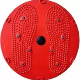 Twister AB Exercise Acupressure Fat Burning Weight Loss Machine Ab Exerciser-7