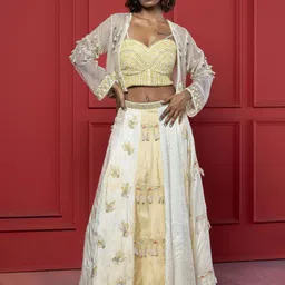 GloballyRonakRBafna Embroidered Beads And Stones Ready To Wear Lehenga Choli-picture-29