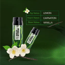 Wild Stone Men Pack of 3 Deodorant - 150 ml Each image 3