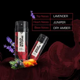 Wild Stone Men Pack of 3 Deodorant - 150 ml Each image 3