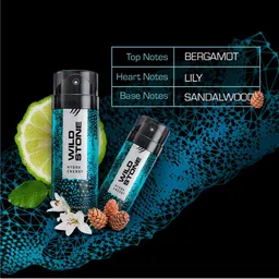 Wild Stone Men Pack of 3 Deodorant - 150 ml Each image 3
