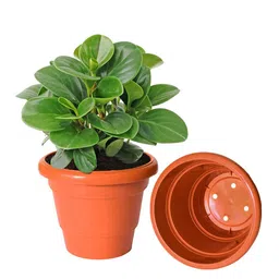 Kuber Industries Set Of 4 Orange Solid Large Flower Planters image 3