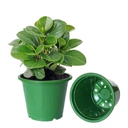 Kuber Industries Set Of 8 Green Solid Layered Plastic Flower Pot With Drainage Hole image 3