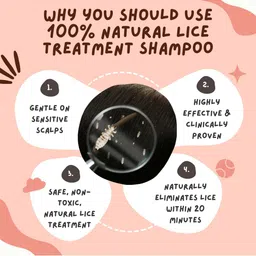 Coco Crush Lice Remover Shampoo 100 ml With Comb image 3