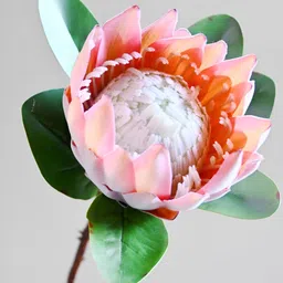 Blooming Floret Peach-Coloured 1 Pieces Artificial Flower image 5