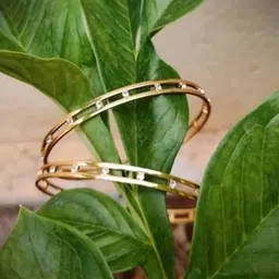 The Pari Set Of 2 Gold Plated Stone Studded Bangles-picture-49