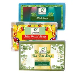 SPARSHAM-NATURE'S TOUCH Set Of 3 Mint, Mix Fruit & Tea Tree Soap - 125 g Each-12