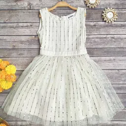 LABEL KANUPRIYA Net Fit & Flare Dress-72