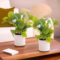 The Better Home Multicoloured 2 Pieces Artificial Flower-32