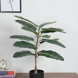 Home Bloom Green 1 Pieces Artificial Plant With Pot-image-50