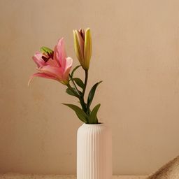 PUREZENTO White Textured Ceramic Vases-image-42