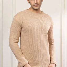 Men Solid Round Neck Beige Sweater-image-3