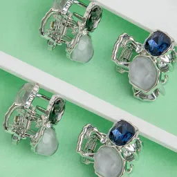 Radhu & Kabby Women Set of 4 Claw Clip-picture-12