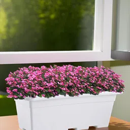 Kuber Industries 6Pcs White Rectangle Shaped Window Planters image 4