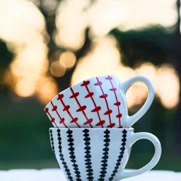 WEAVING HOMES Black & Red Printed Ceramic Glossy Cups Set of Cups and Mugs-6
