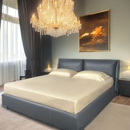ERBA Beige King Bedsheet with 2 Pillow Covers-image-79