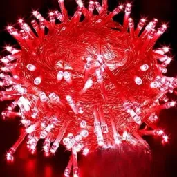 42 LEDs 12 m Red Steady Bulb Rice Lights-5